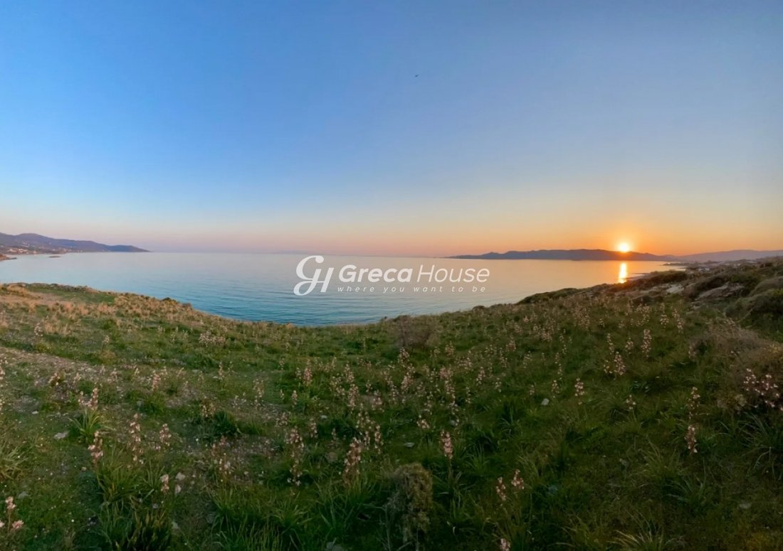 Land in Euboea, Thessaly and Central Greece, Greece 4 - 15214838