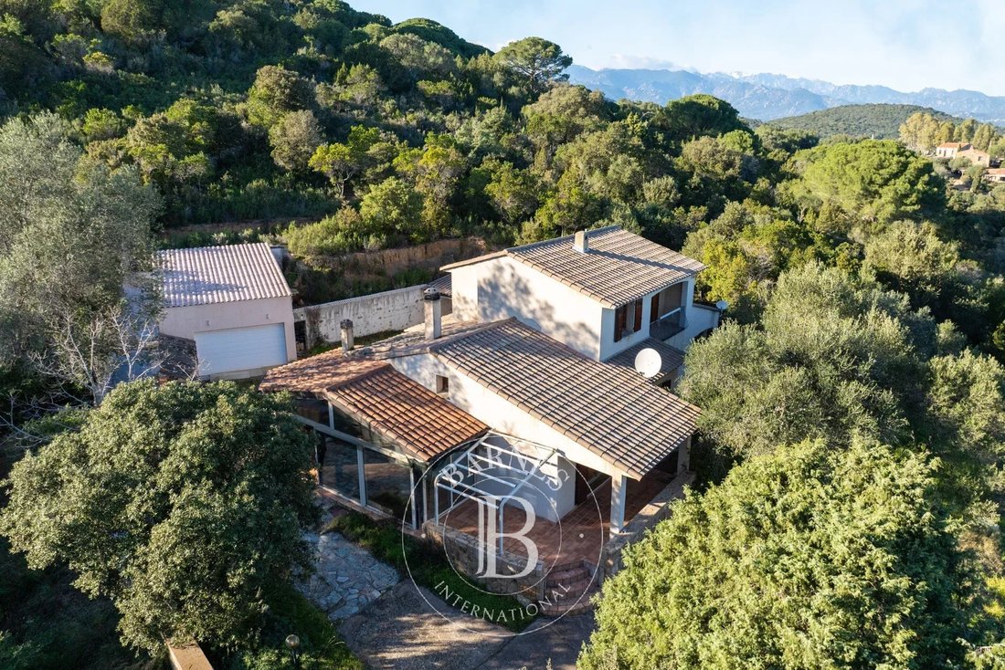 Estate in Porto-Vecchio, Corsica, France 1 - 15214816