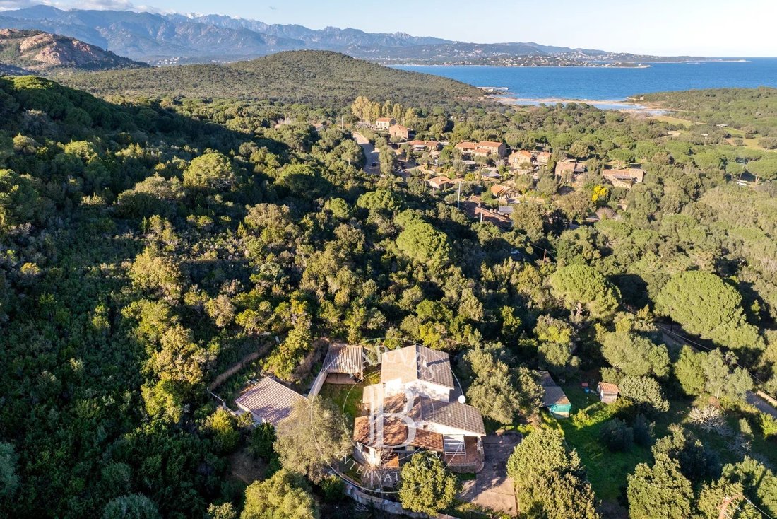 Estate in Porto-Vecchio, Corsica, France 4 - 15214816