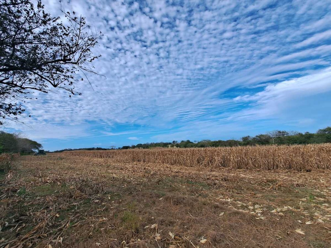 Land in Las Tablas, Los Santos Province, Panama 4 - 15216204
