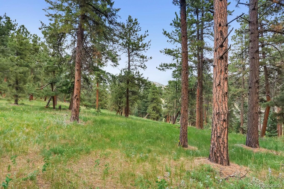 Land in Conifer, Colorado, United States 5 - 15214243