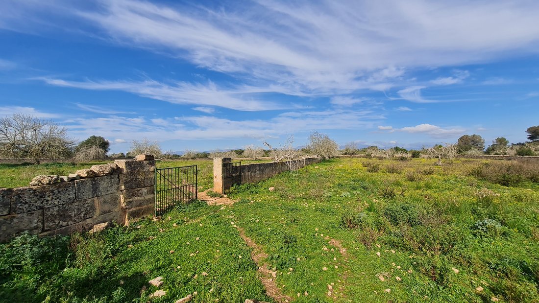 Finca in Algaida, Balearic Islands, Spain 5 - 15214890