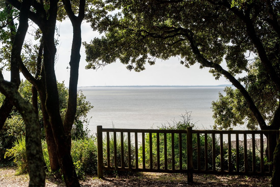 House in Vaux-sur-Mer, Nouvelle-Aquitaine, France 3 - 15214986