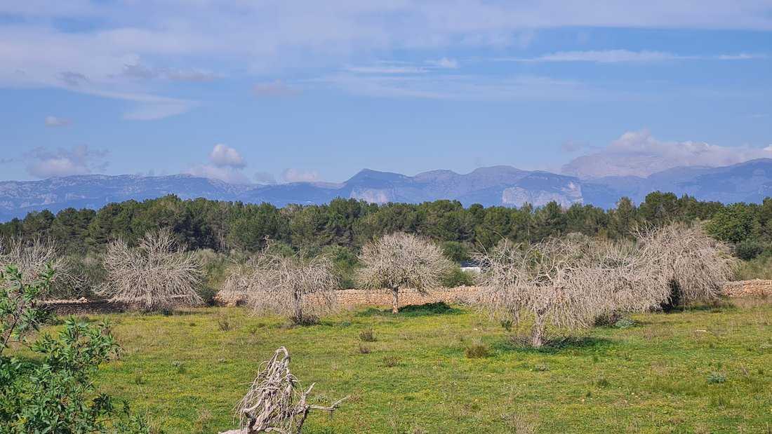 Finca in Algaida, Balearic Islands, Spain 4 - 15214890