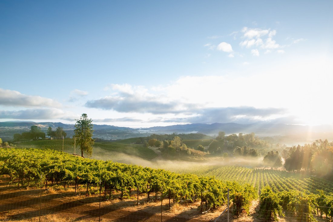 House in Sonoma, California, United States 2 - 15214946