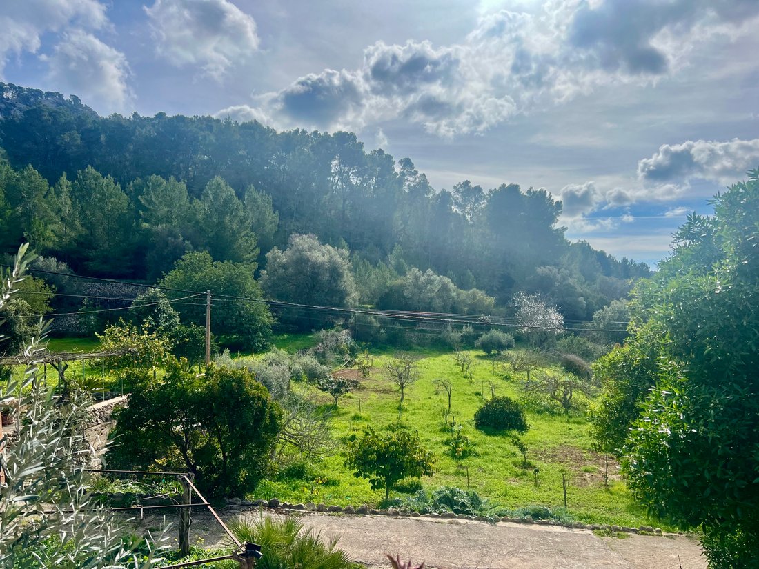 Country House in Andratx, Balearic Islands, Spain 4 - 15215428