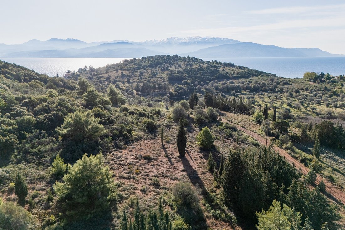 Land in Trizonia, Thessaly and Central Greece, Greece 4 - 15216898