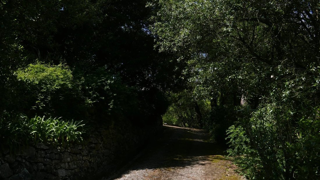 House in Dolceacqua, Liguria, Italy 5 - 14507852