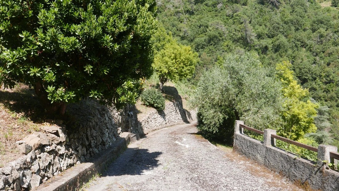 House in Dolceacqua, Liguria, Italy 3 - 14507852