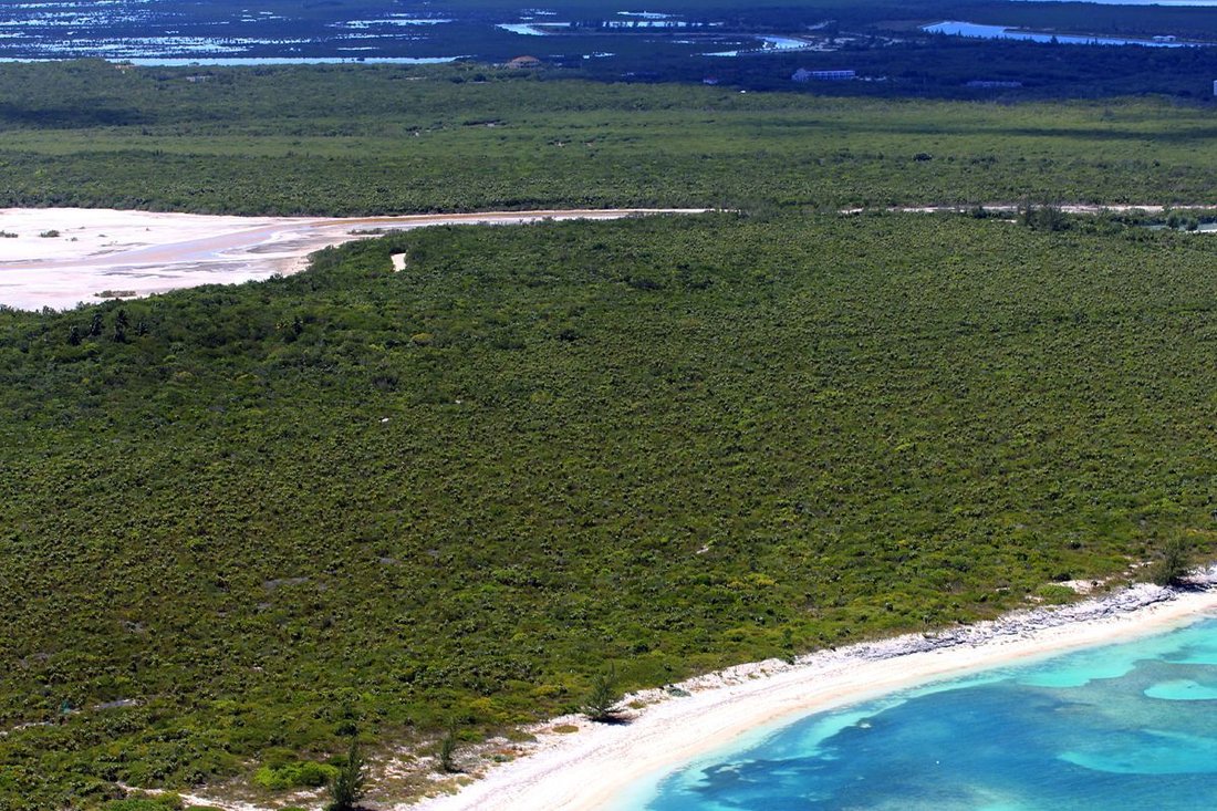 Terrain à Sandy Point, Caicos Islands, Îles Turks et Caïques 3 - 15224712