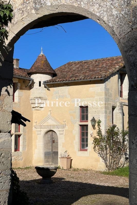 Castle in Beaulieu, Perigueux, France 4 - 15215775