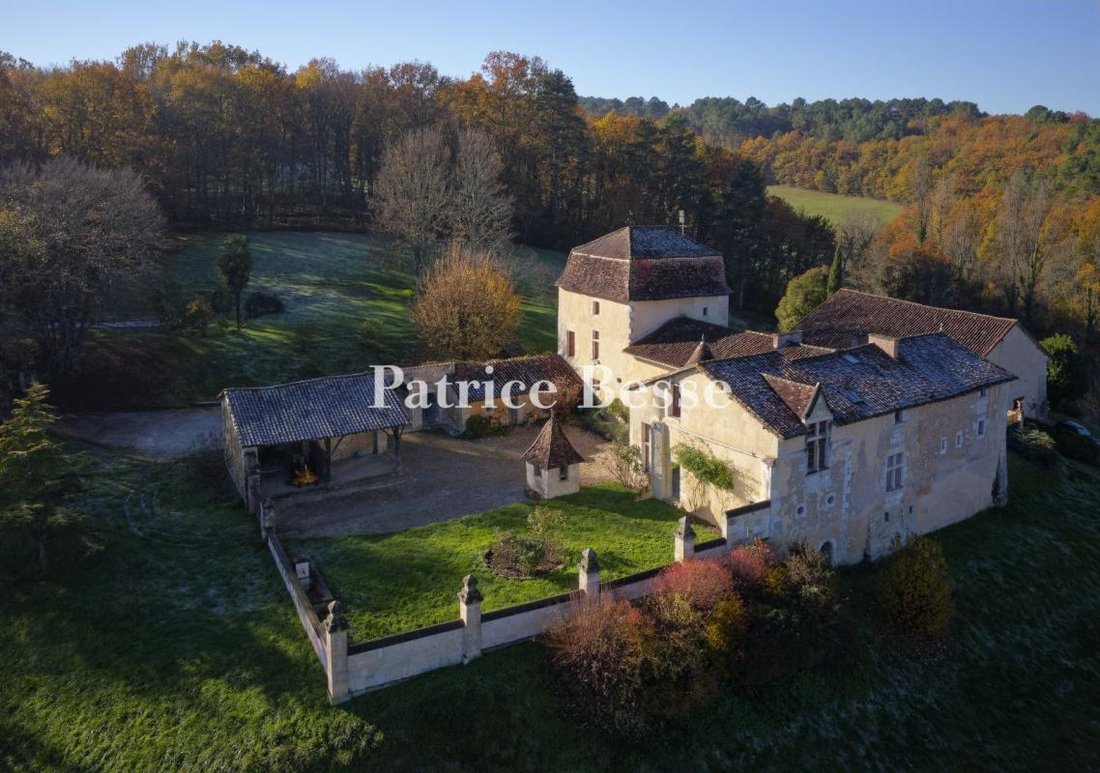 Castle in Beaulieu, Perigueux, France 2 - 15215775