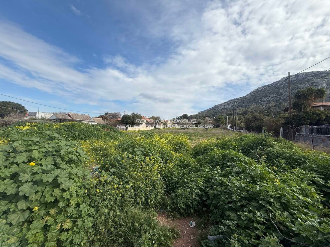 Land in Salamina Community, Salamina, Greece 3 - 14907699