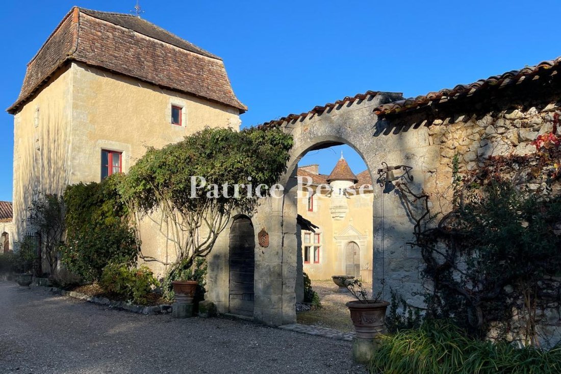 Castle in Beaulieu, Perigueux, France 3 - 15215775