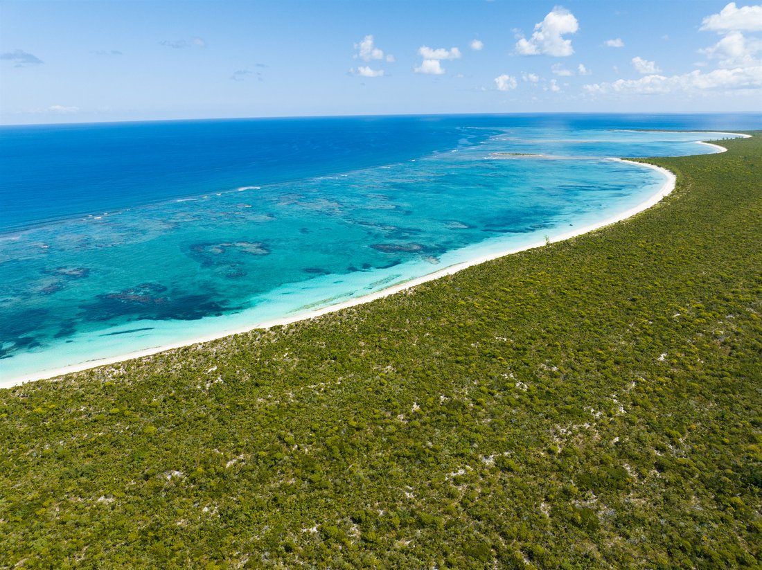Terrain à East Caicos, Turks and Caicos Islands 3 - 15224720
