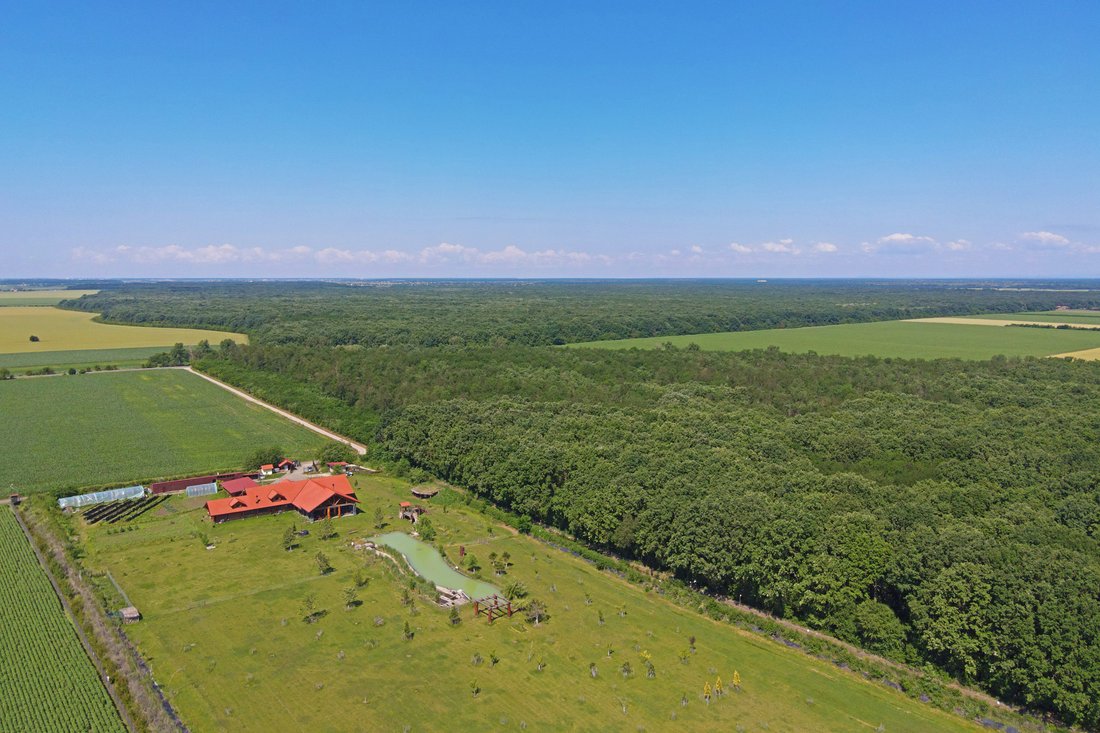 Farm Ranch in Grădiștea, Ilfov County, Romania 4 - 12044240