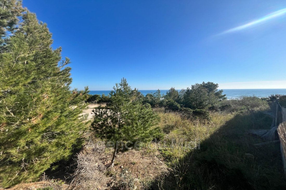 Land in Leucate, Occitania, France 5 - 15200442