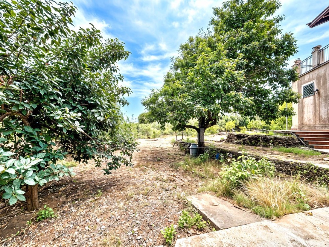 Villa in Aci Bonaccorsi, Sicily, Italy 5 - 14379657