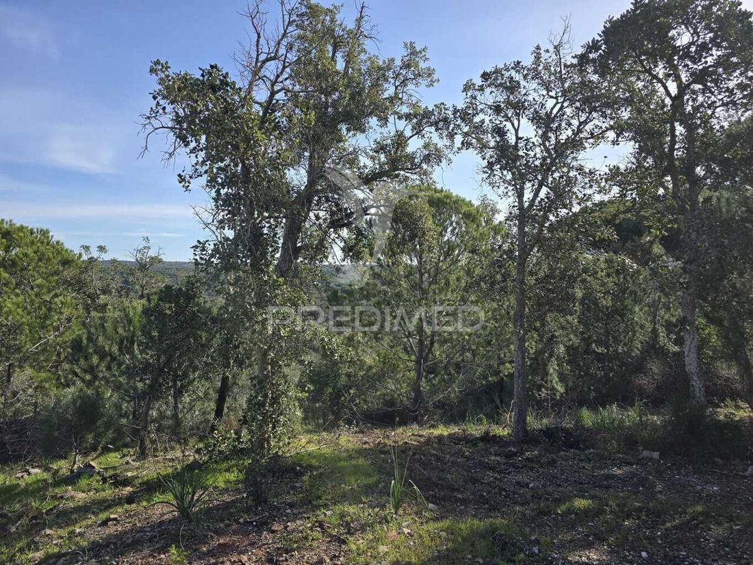 Land in Melides, Setubal, Portugal 1 - 15220821