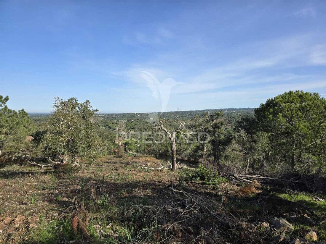 Land in Melides, Setubal, Portugal 5 - 15220821
