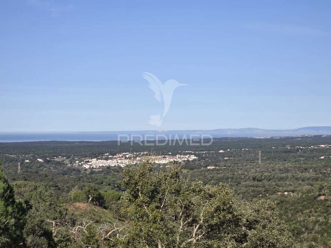 Land in Melides, Setubal, Portugal 3 - 15220787
