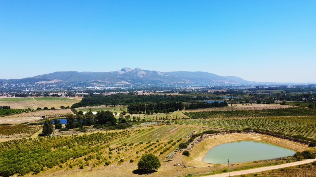 Farm Ranch in Drakenstein Local Municipality, Western Cape, South Africa 4 - 15220765