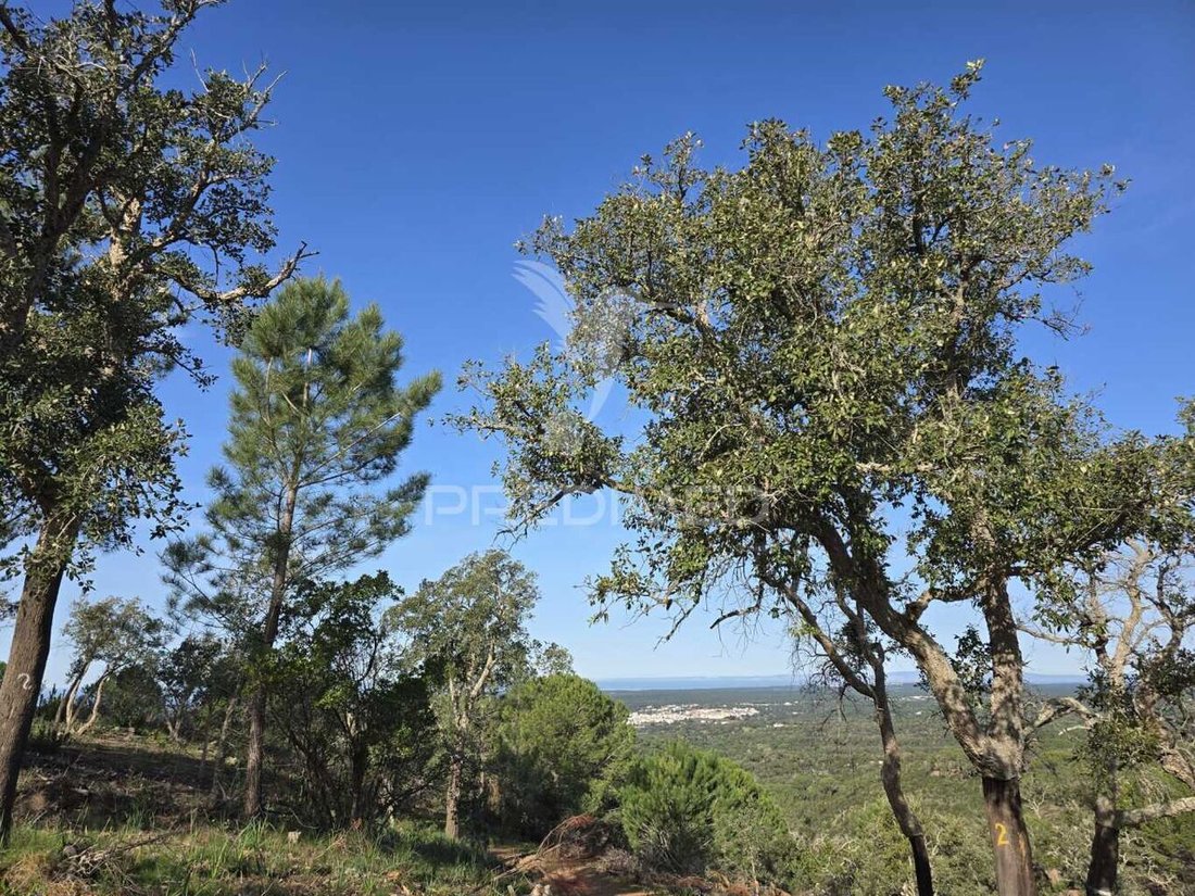 Land in Melides, Setubal, Portugal 4 - 15220821