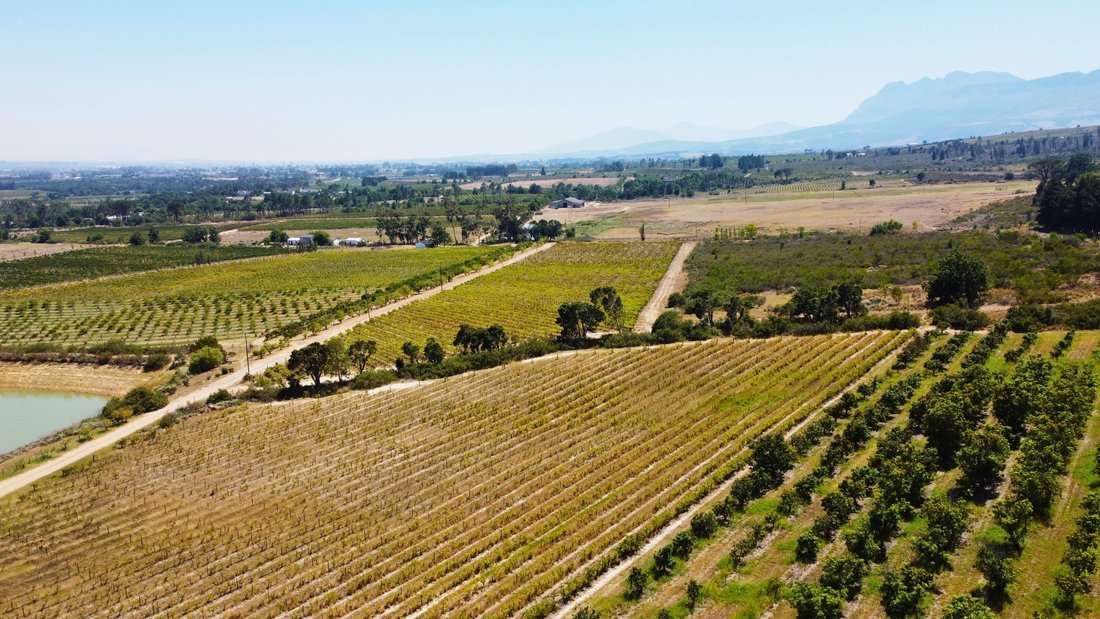 Farm Ranch in Drakenstein Local Municipality, Western Cape, South Africa 1 - 15220765