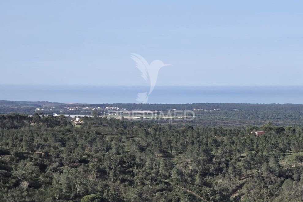 Land in Melides, Setubal, Portugal 1 - 15220787
