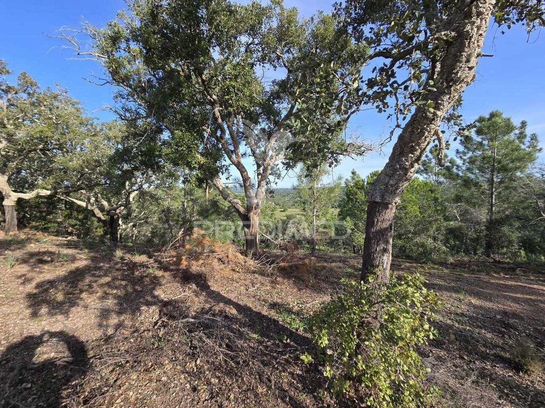 Land in Melides, Setubal, Portugal 2 - 15220821