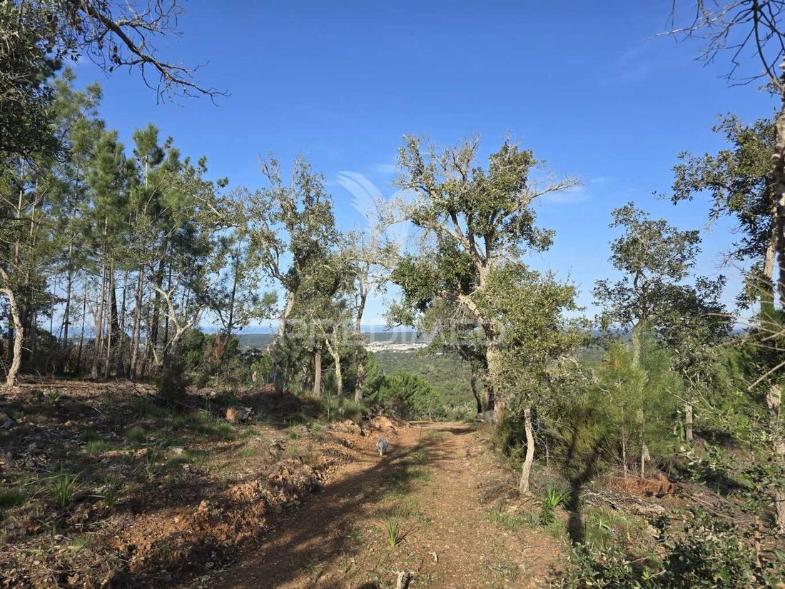 Land in Melides, Setubal, Portugal 3 - 15220821