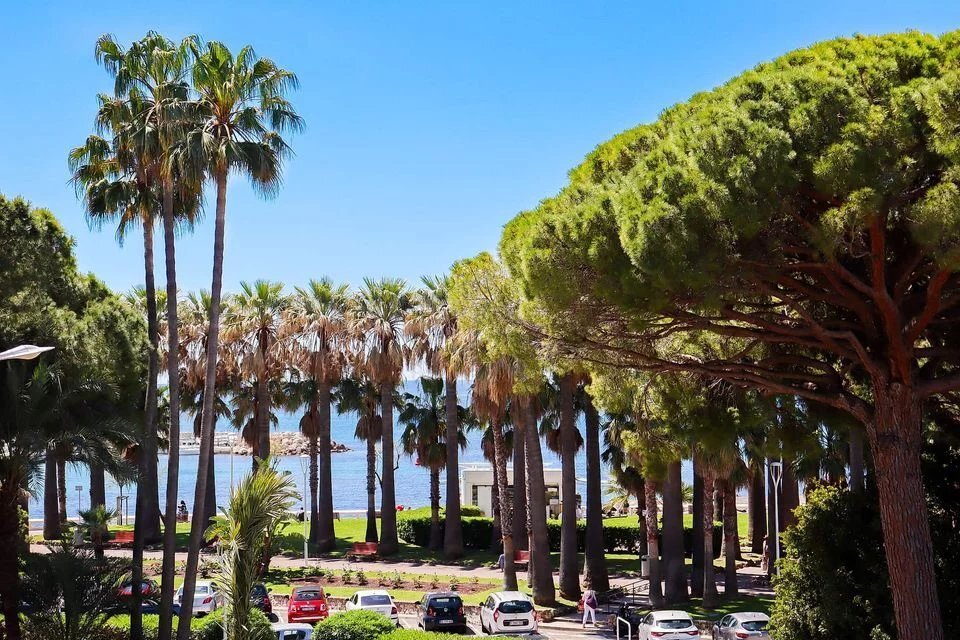 Apartment in Cannes, Provence-Alpes-Côte d'Azur, France 4 - 15223209