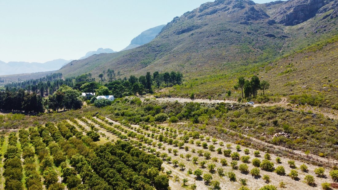 Farm Ranch in Drakenstein Local Municipality, Western Cape, South Africa 2 - 15220765