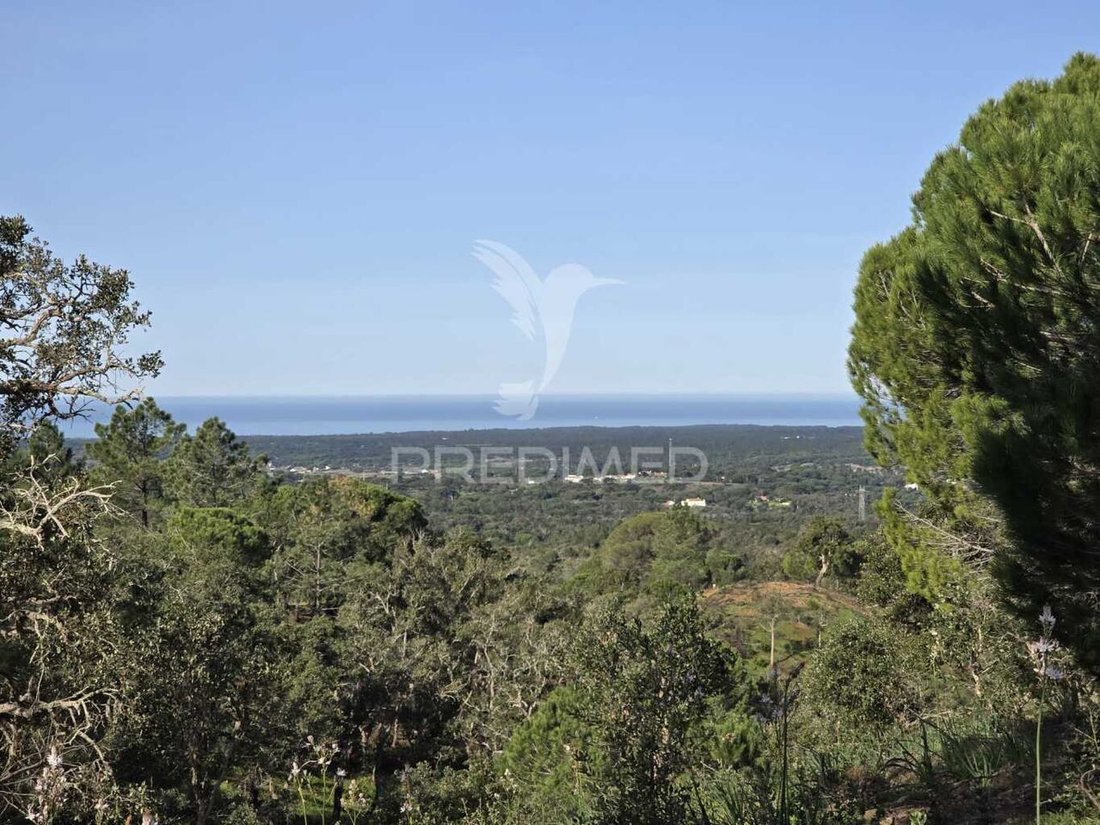 Land in Melides, Setubal, Portugal 2 - 15220787