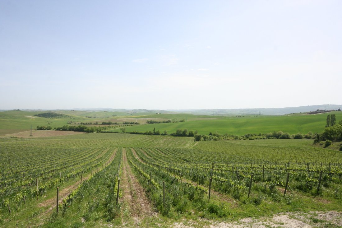 Montalcino, Tuscany, Italy 2 - 11204574