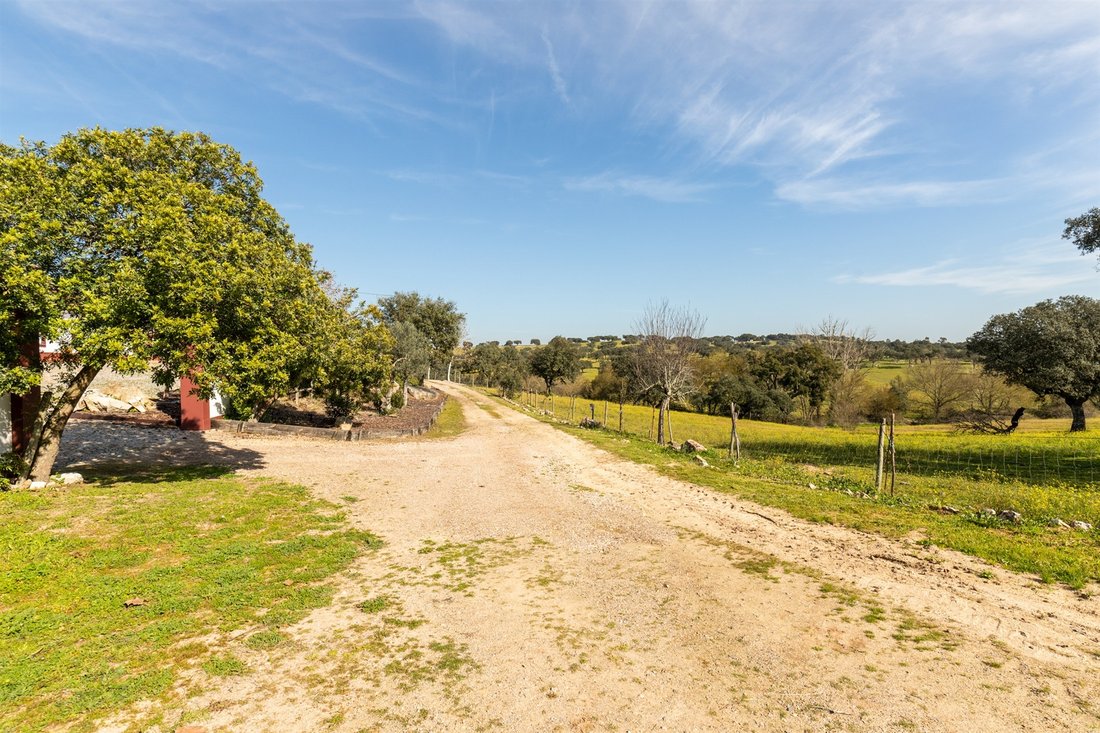 Farm Ranch in Avis, Portalegre District, Portugal 2 - 13924228