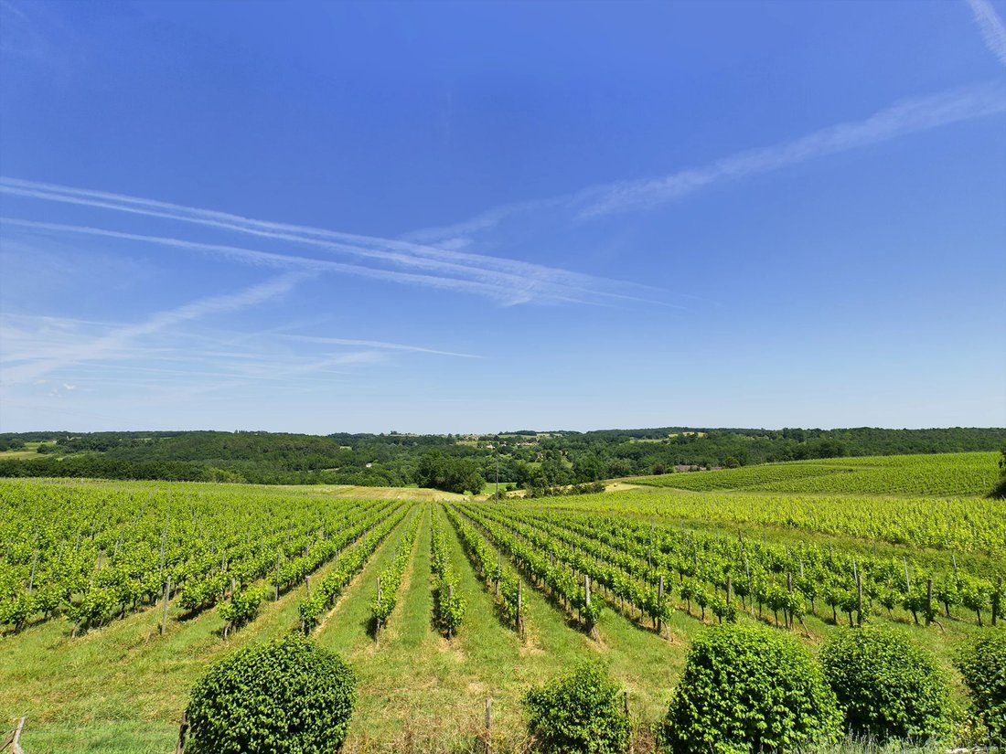 House in Sainte-Foy-la-Grande, Nouvelle-Aquitaine, France 5 - 15227997