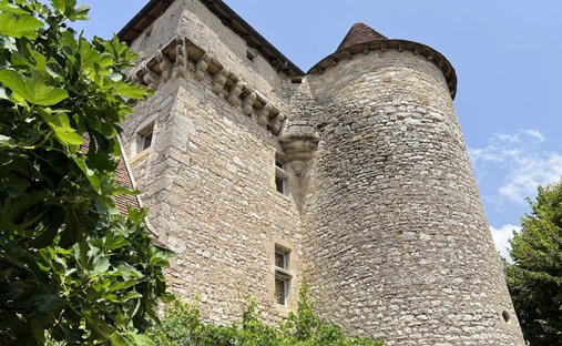 Castle for Sale in Ambeyrac, Occitanie, France