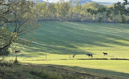 Castle for Sale in Penne-d'Agenais, Nouvelle-Aquitaine, France