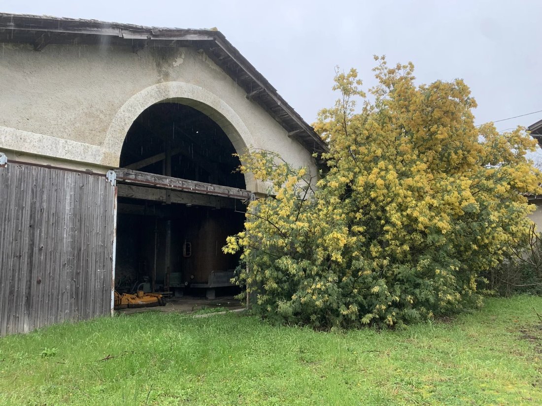 House in Gensac, Nouvelle-Aquitaine, France 4 - 15227955
