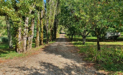 Castle for Sale in Saussignac, Nouvelle-Aquitaine, France