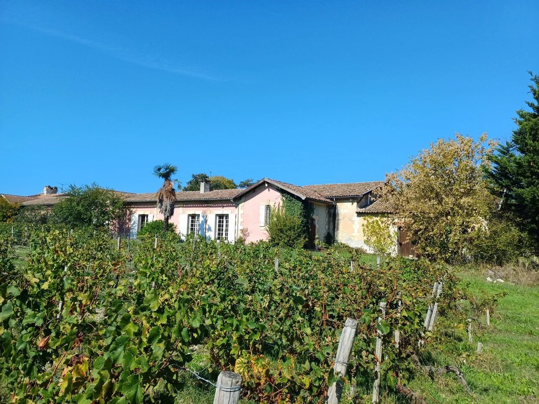 House in Macau, Nouvelle-Aquitaine, France 4 - 15228243