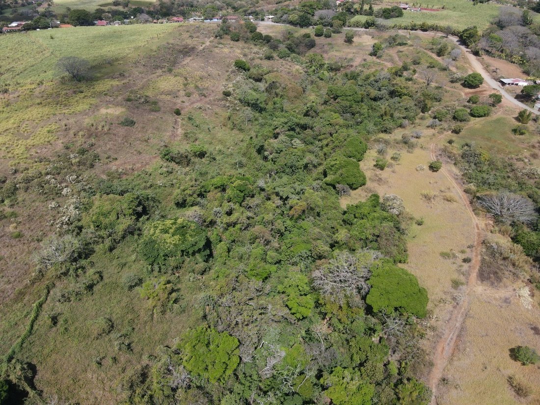 Land in Puente de Piedra, Alajuela Province, Costa Rica 5 - 15228615