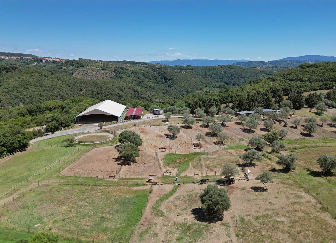 Altro a Riparbella, Toscana, Italia 3 - 15229410