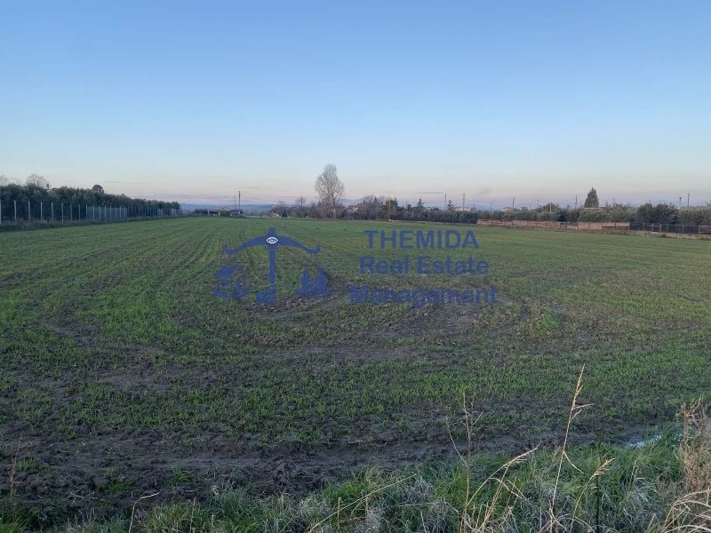Land in Thermaikos, Macedonia and Thrace, Greece 4 - 14888073