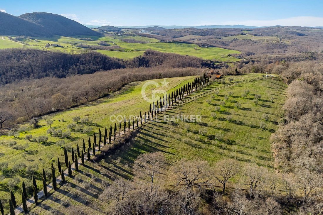 Villa in Montalcino, Tuscany, Italy 1 - 15229883
