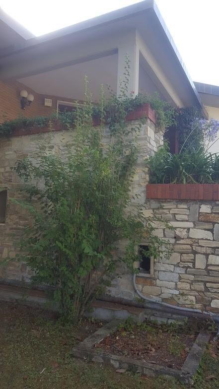 Villa in Marina di Carrara, Tuscany, Italy 3 - 12203945
