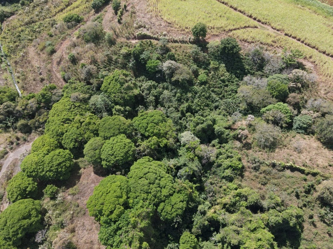 Land in Puente de Piedra, Alajuela Province, Costa Rica 3 - 15228615