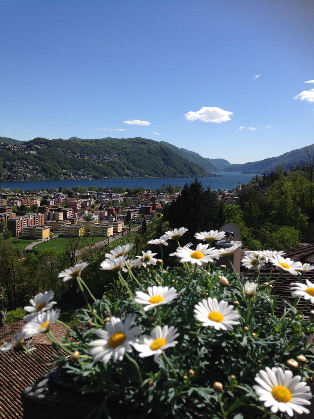 Haus in Agno TI, Tessin, Schweiz 1 - 15229904