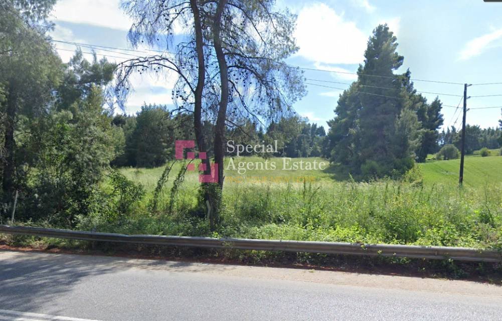 Land in Kassandra, Macedonia and Thrace, Greece 2 - 15210930